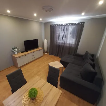 Apartament Ogrodzieniec 公寓 奥格罗杰涅茨